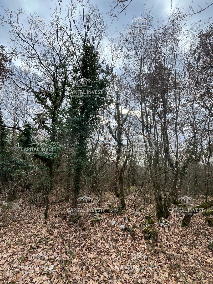Zemljište Na prodaju - ISTARSKA SVETI LOVREČ