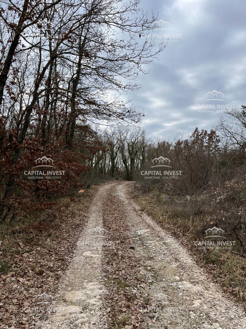 Zemljište Na prodaju - ISTARSKA SVETI LOVREČ