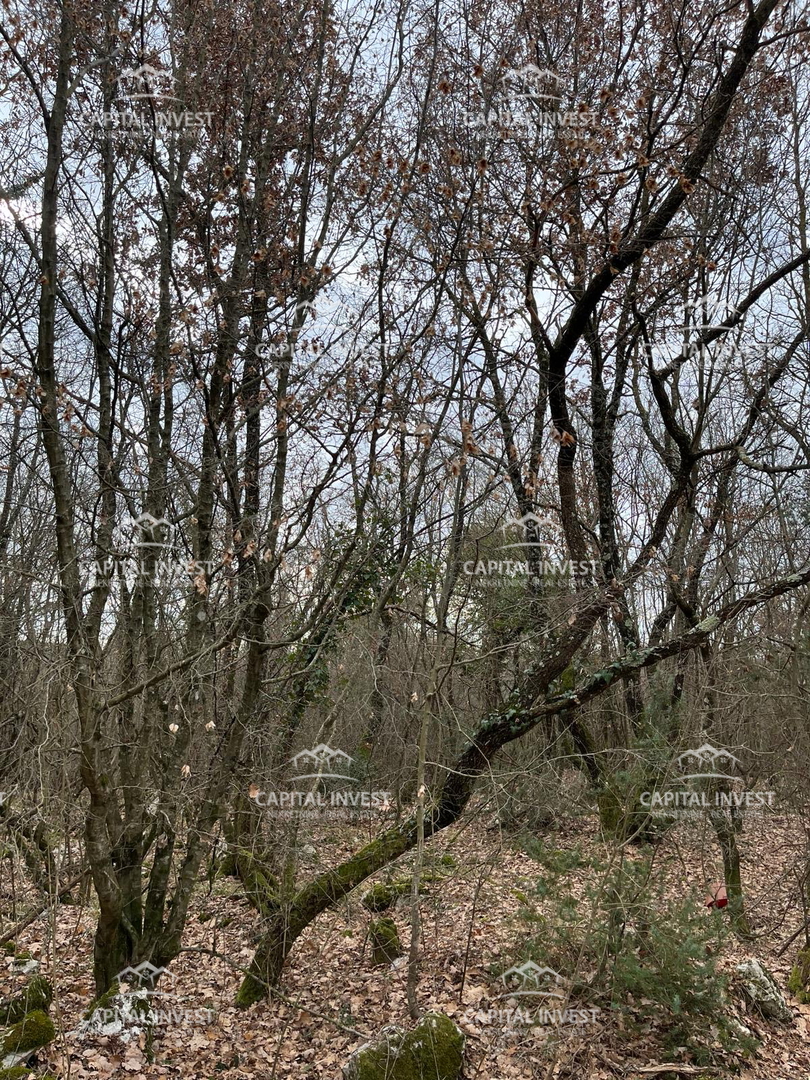 Zemljište Na prodaju - ISTARSKA SVETI LOVREČ