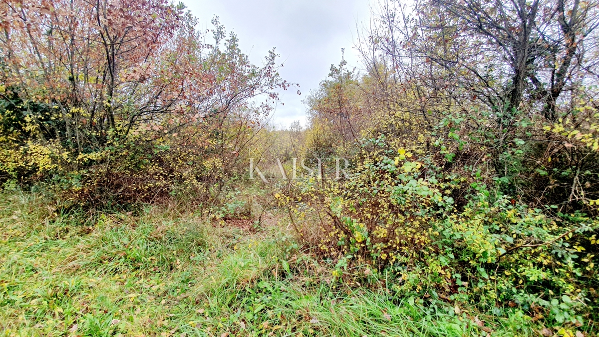 House For sale - ISTARSKA VIŠNJAN