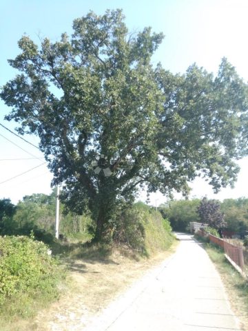 Land for sale 23866 m² – Sveta Nedelja