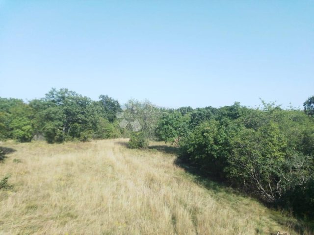 Parcela Naprodaj - Istarska Sveta Nedelja - foto 3/9