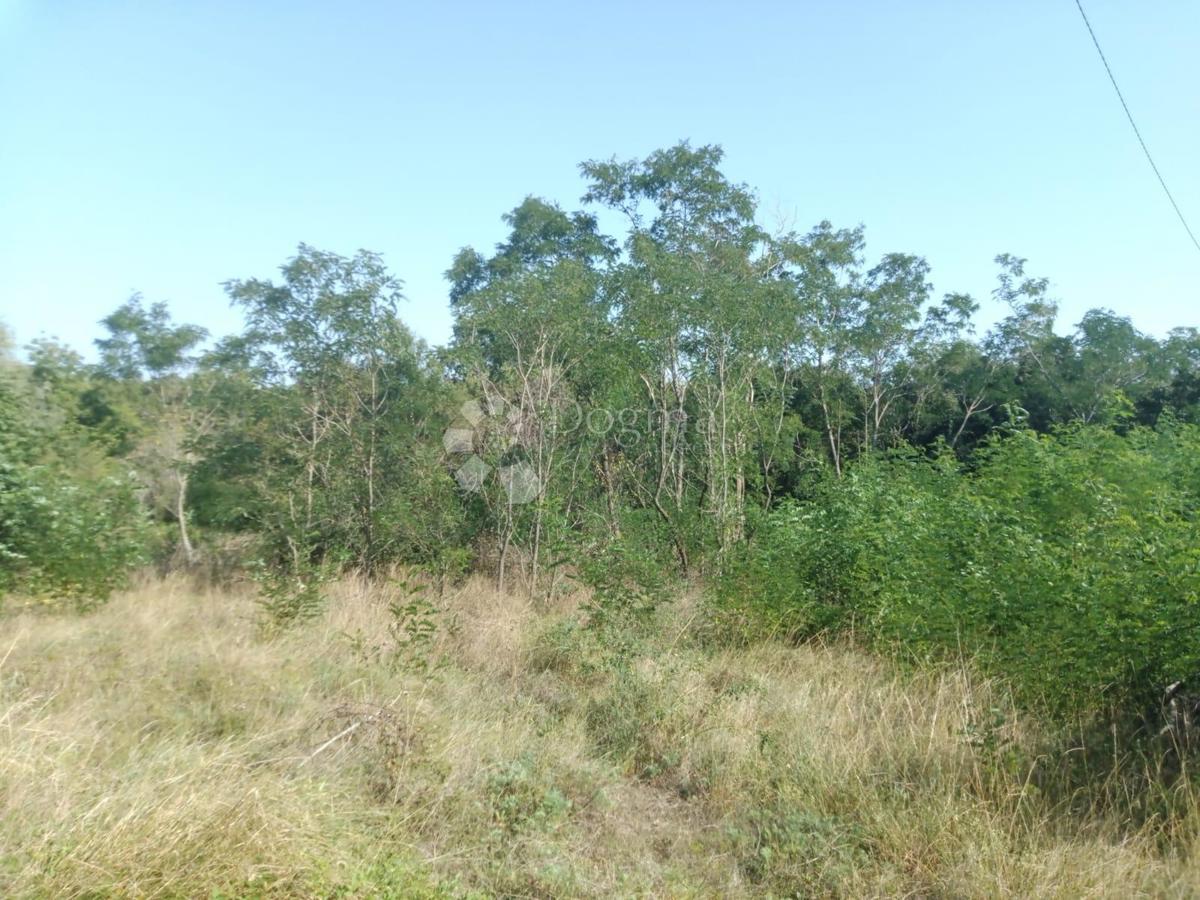 Land For sale - Istarska Sveta Nedelja - foto 5/9