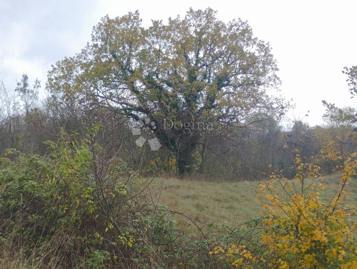 Land For sale - ISTARSKA SVETA NEDELJA