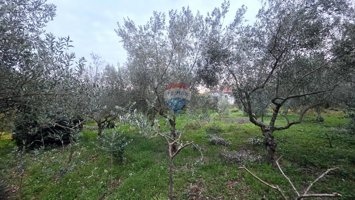 Terreno In vendita - ISTARSKA BRTONIGLA