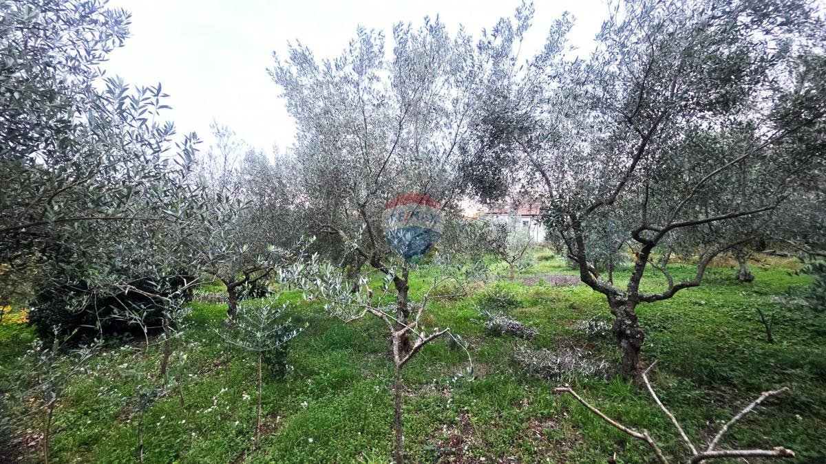 Terreno In vendita - ISTARSKA BRTONIGLA