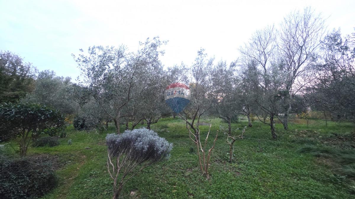 Terreno In vendita - ISTARSKA BRTONIGLA