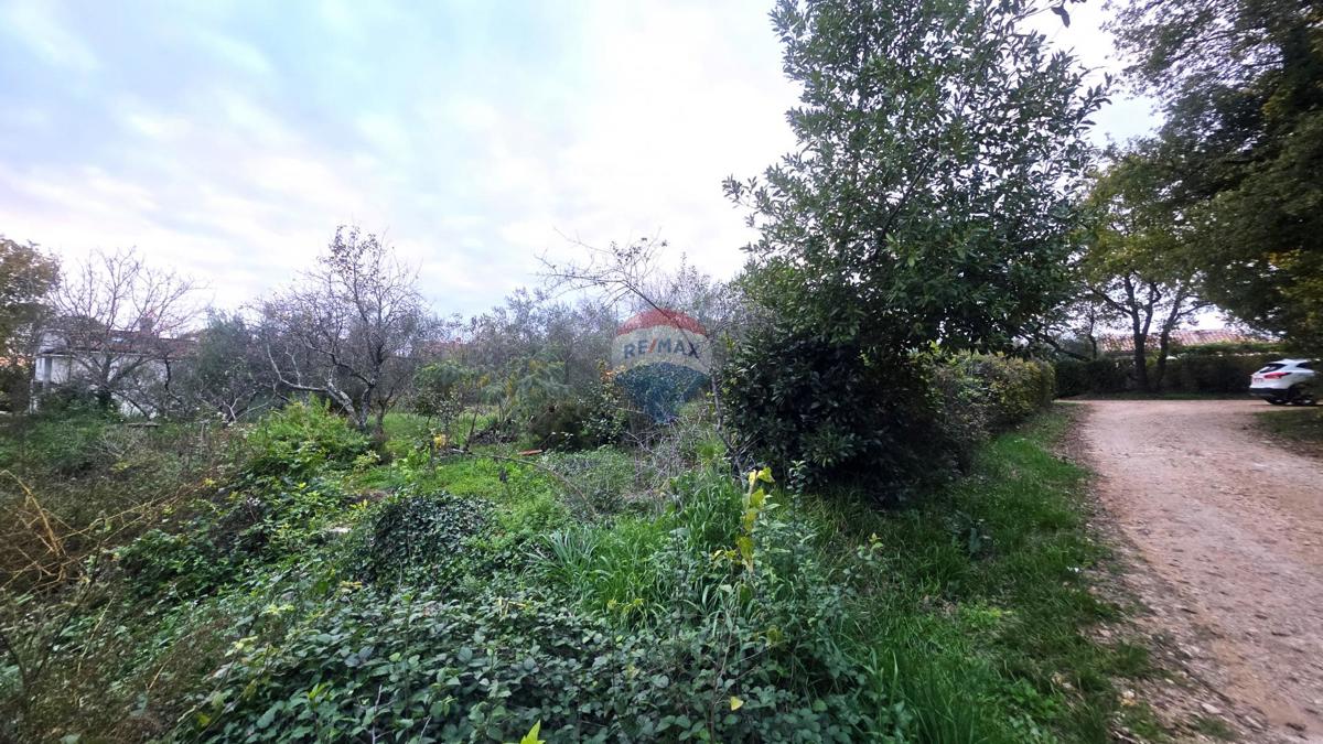 Terreno In vendita - ISTARSKA BRTONIGLA