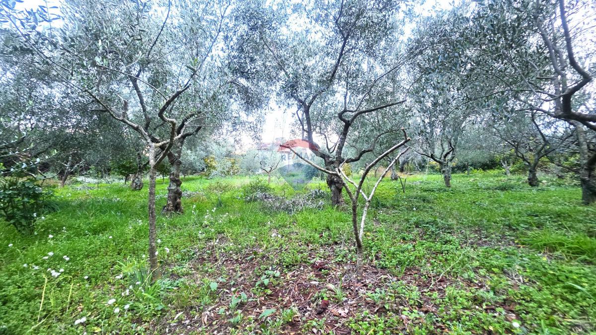 Terreno In vendita - ISTARSKA BRTONIGLA