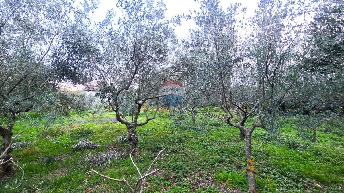 Terreno In vendita - ISTARSKA BRTONIGLA