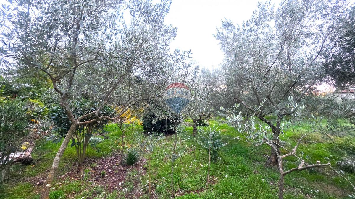Terreno In vendita - ISTARSKA BRTONIGLA