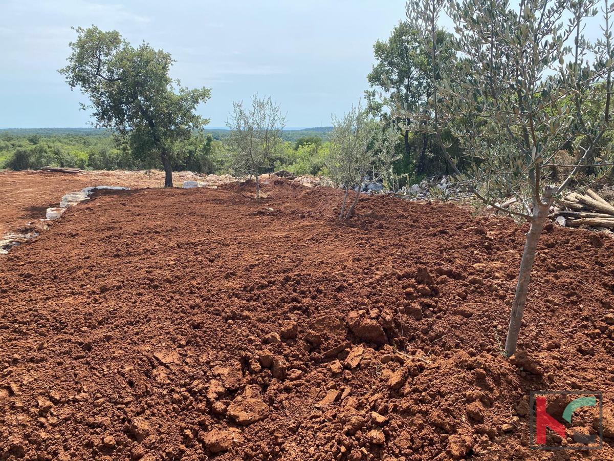 Terreno In vendita - ISTARSKA BALE