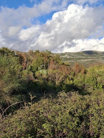 Parcela Naprodaj - Dubrovačko-neretvanska Konavle - foto 4/7
