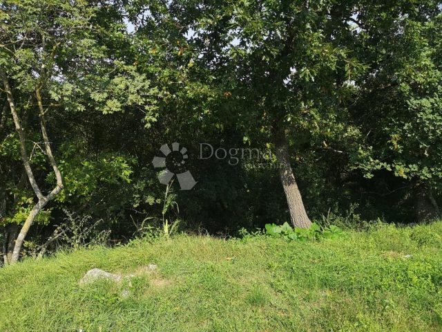 Terrain À vendre - Istarska Svetvinčenat - foto 2/7
