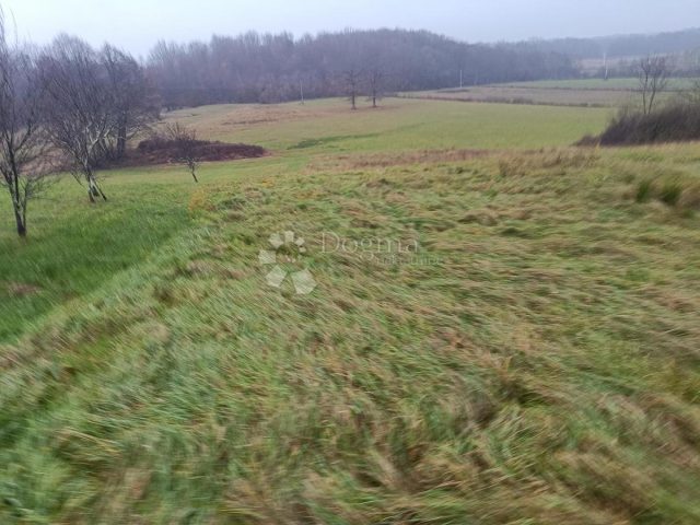 Terrain à vendre 7079 m² – Pisarovina