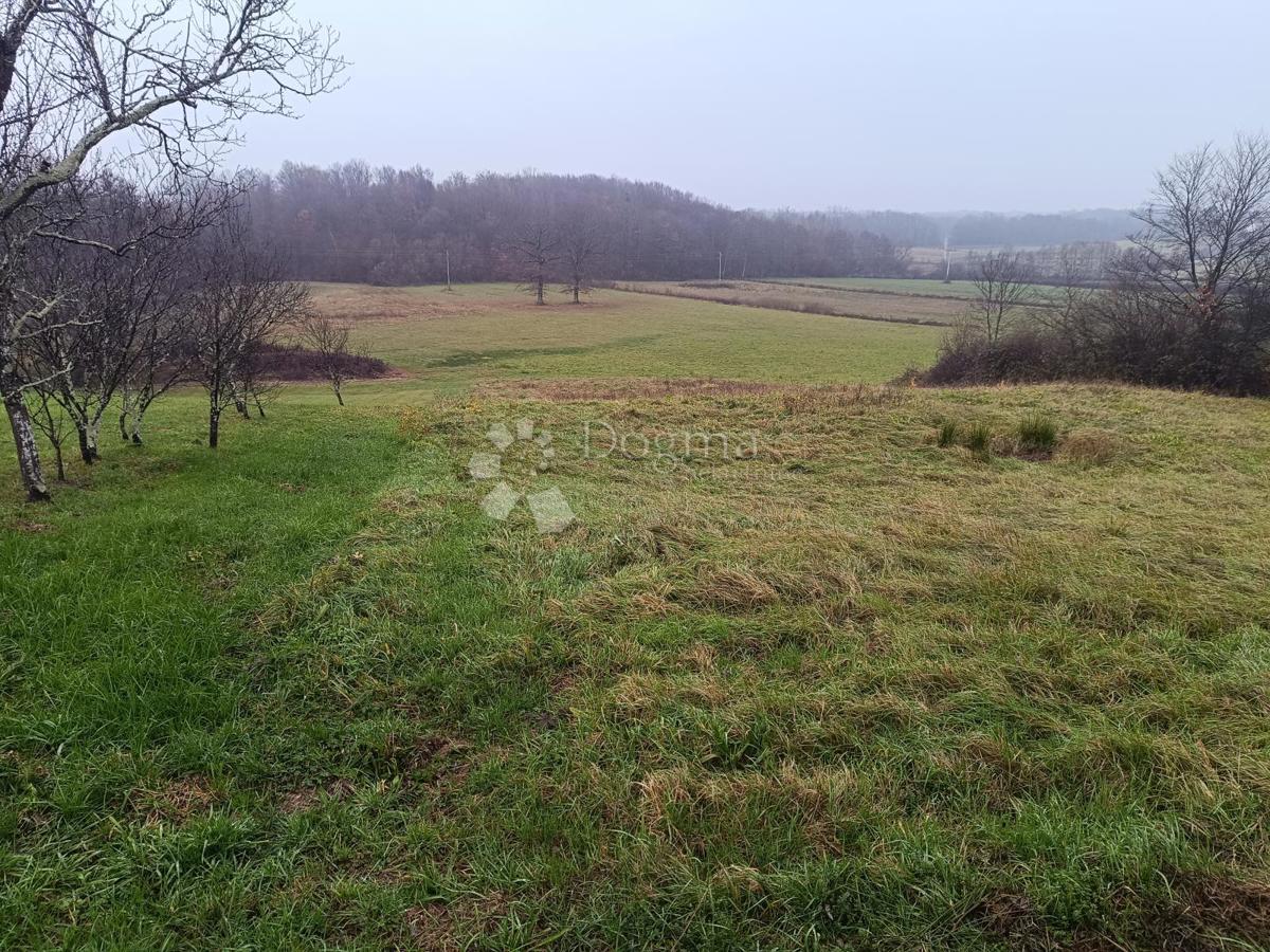 Terrain À vendre - Zagrebačka Pisarovina - foto 3/7