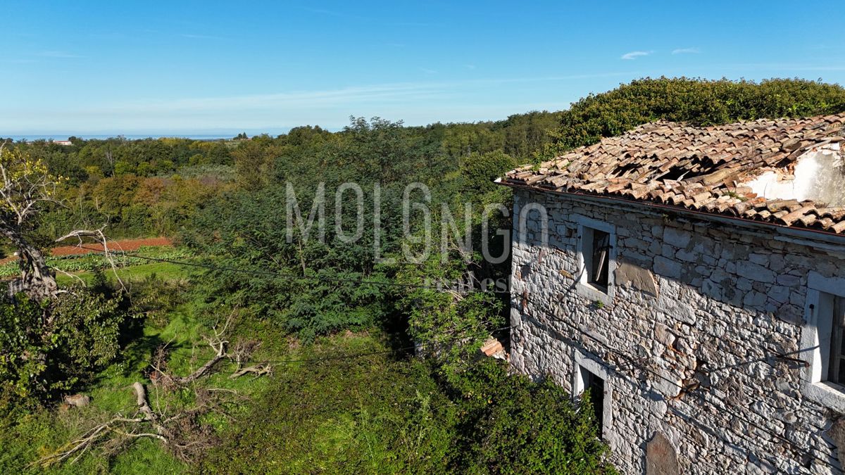 Land For sale - ISTARSKA VIŽINADA