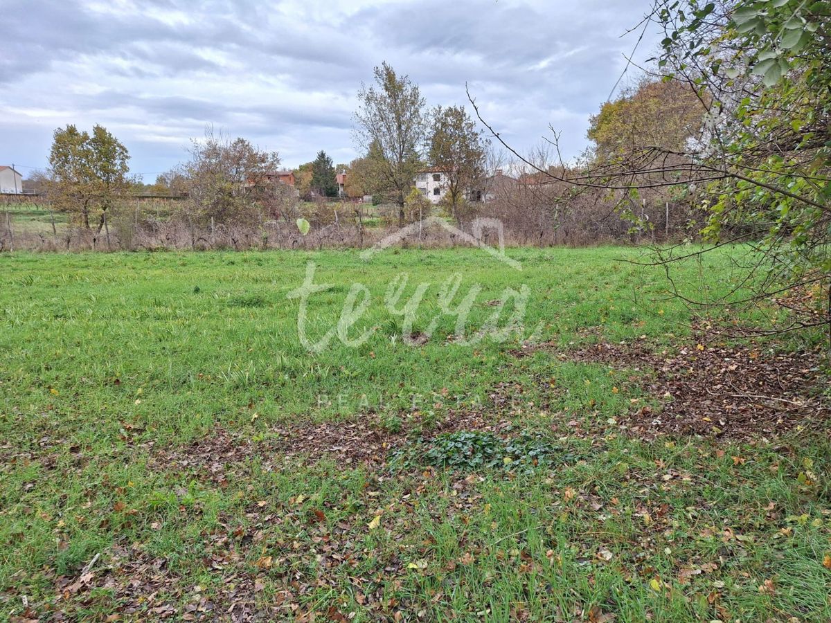 Land For sale - ISTARSKA LABIN