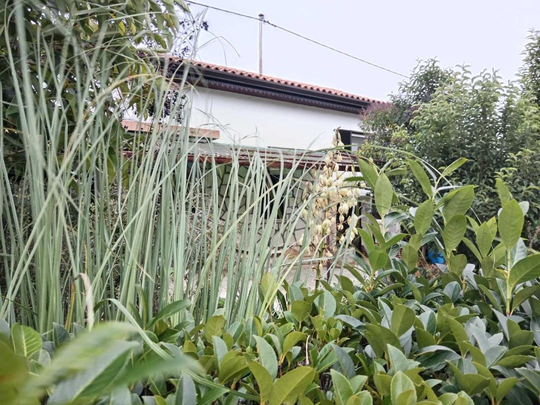 Maison À vendre - Istarska Umag - foto 1/7