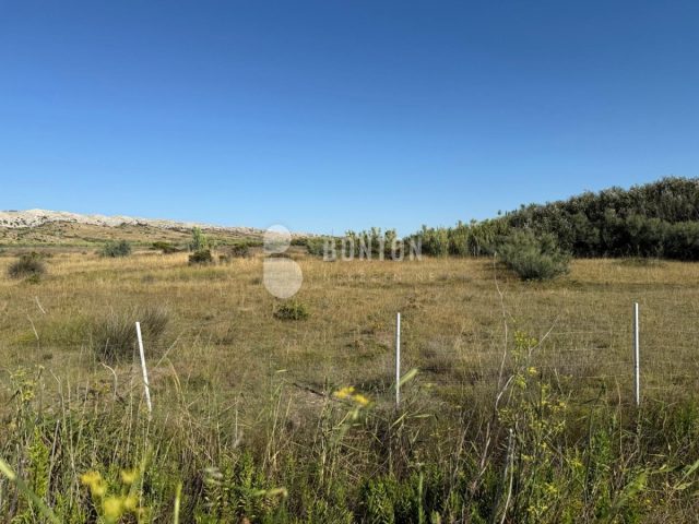 Terreno In vendita - Zadarska Pag - foto 3/6