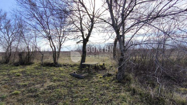 Grundstück zu verkaufen 3497 m² – Zemunik Donji