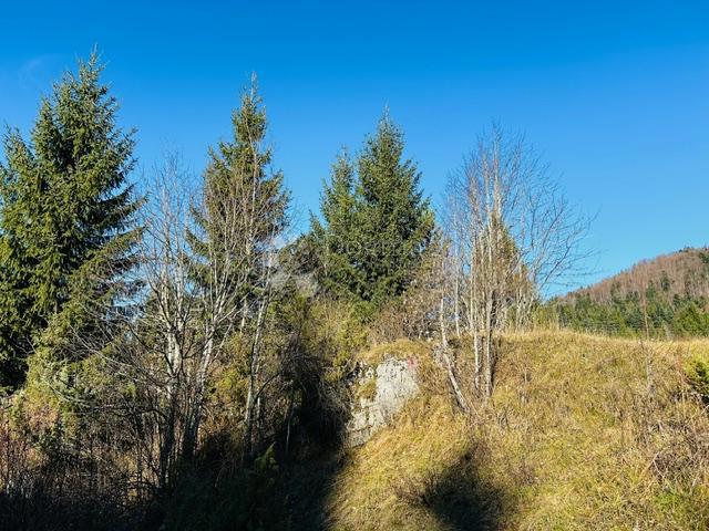 Zemljište Na prodaju - PRIMORSKO-GORANSKA RAVNA GORA