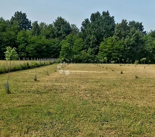 Działka na sprzedaż 15484 m² – Petrijevci