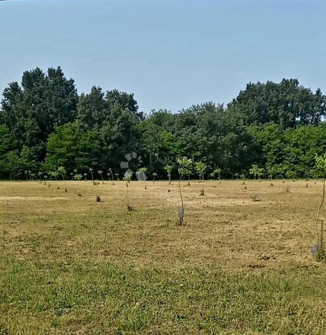 Zemljište Na prodaju - Osječko-baranjska Petrijevci - foto 2/3