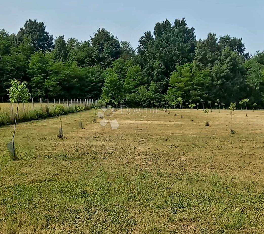 Działka Na sprzedaż - Osječko-baranjska Petrijevci - foto 1/3