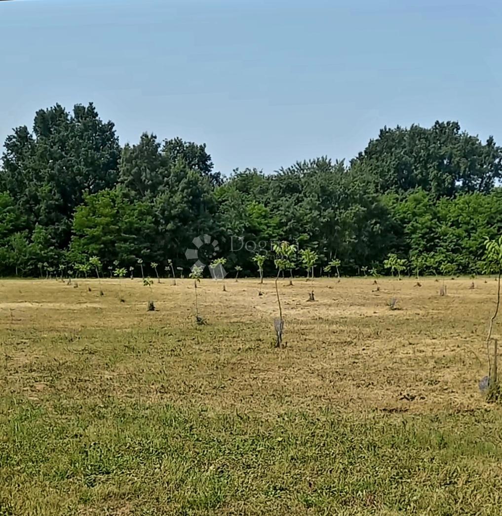 Działka Na sprzedaż - Osječko-baranjska Petrijevci - foto 2/3