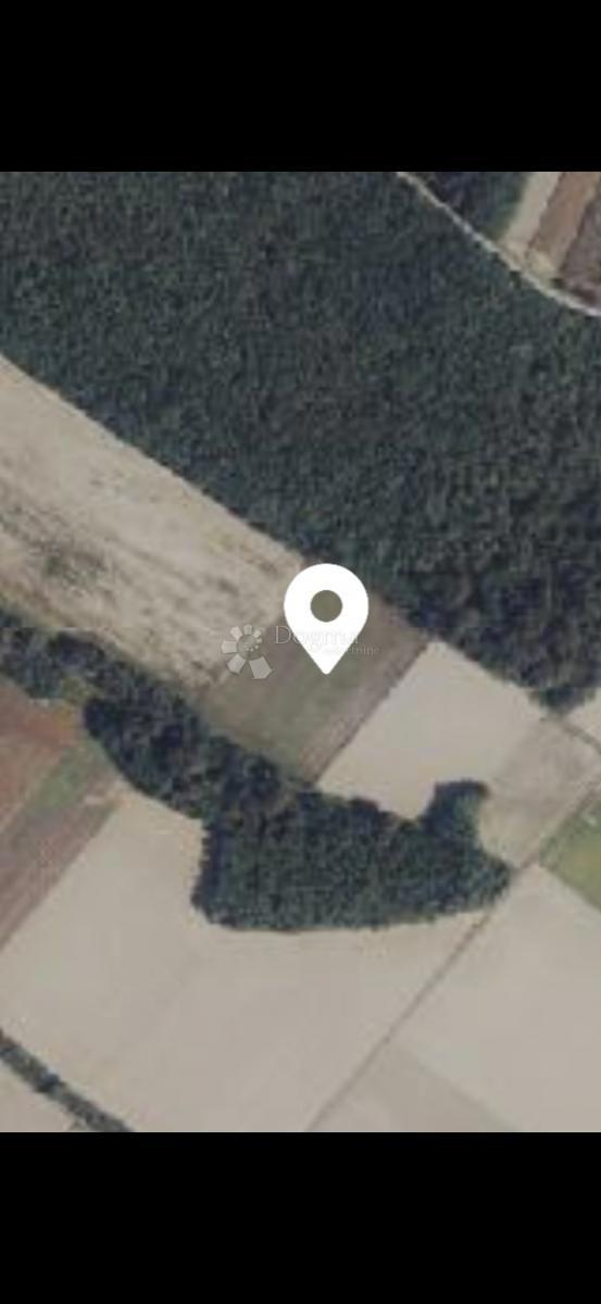 Działka Na sprzedaż - Osječko-baranjska Petrijevci - foto 3/3