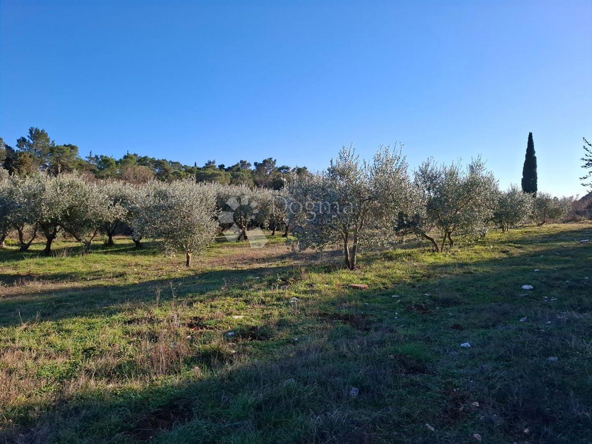 Parcela Na predaj - Istarska Marčana - foto 3/3