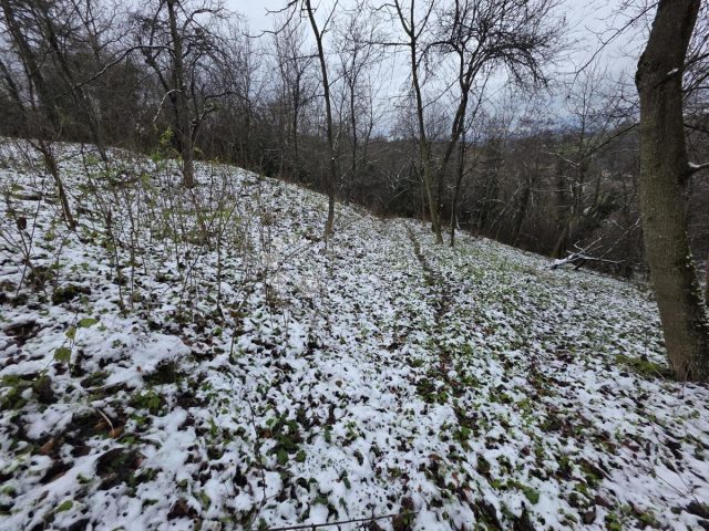 Grundstück Zu verkaufen - Krapinsko-zagorska Krapinske Toplice - foto 2/9