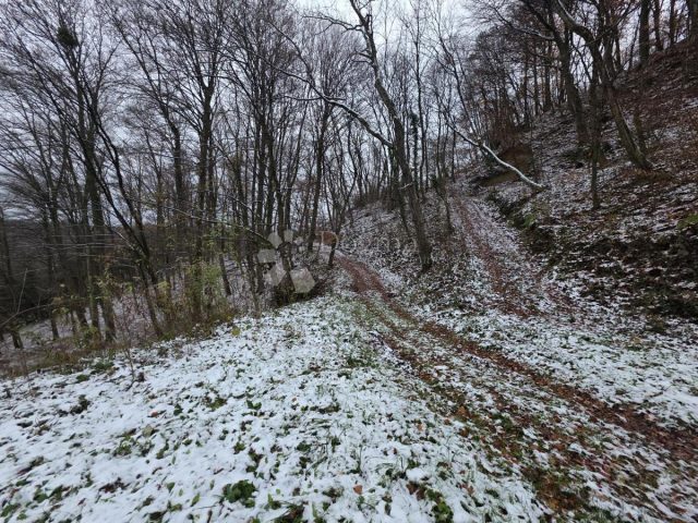Grundstück Zu verkaufen - Krapinsko-zagorska Krapinske Toplice - foto 4/9