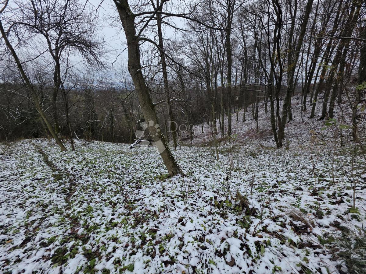 Zemljište Na prodaju - KRAPINSKO-ZAGORSKA KRAPINSKE TOPLICE