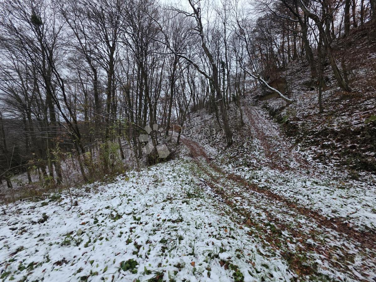 Zemljište Na prodaju - KRAPINSKO-ZAGORSKA KRAPINSKE TOPLICE