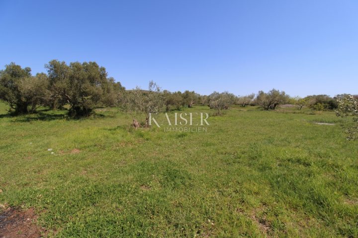 Pozemok na predaj 2500 m² – Sveti Filip I Jakov