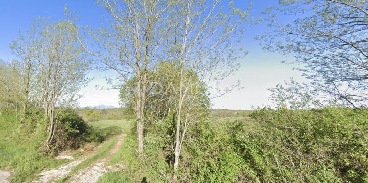 Land for sale 67000 m² – Pazin