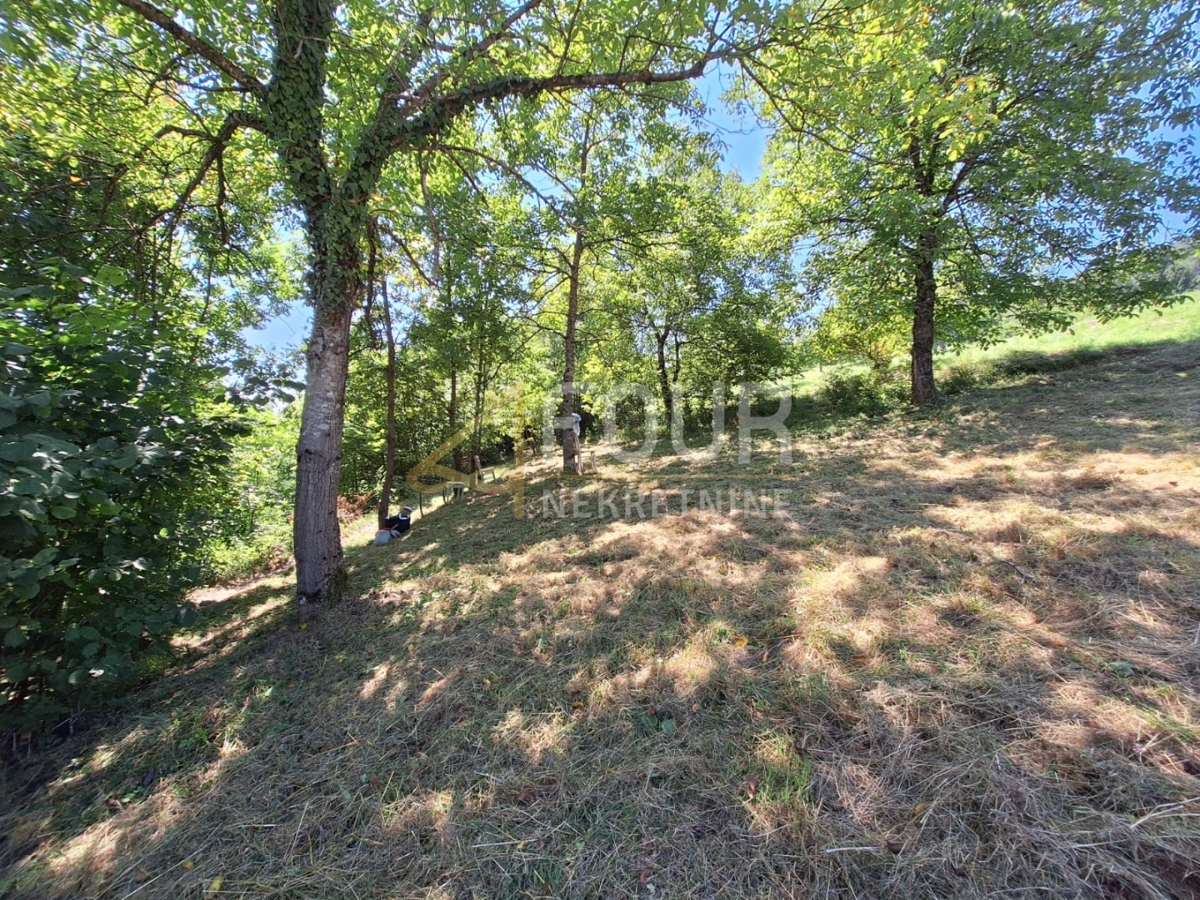 Land For sale - PRIMORSKO-GORANSKA VRBOVSKO