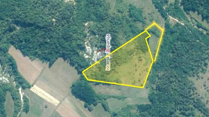 Grundstück zu verkaufen 25411 m² – Pazin