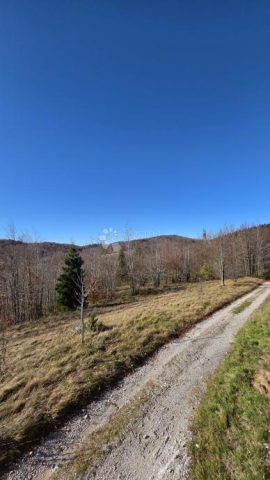 Terreno In vendita - Primorsko-goranska Ravna Gora - foto 2/3