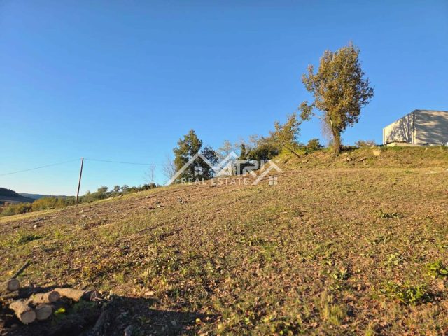 Grundstück Zu verkaufen - Istarska Motovun - foto 3/4