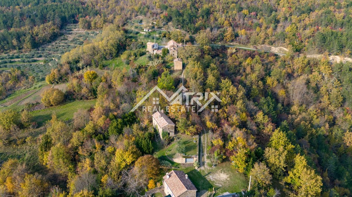 Land For sale - ISTARSKA MOTOVUN
