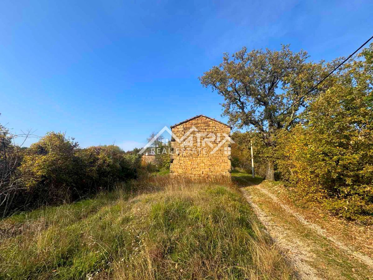 Land For sale - ISTARSKA MOTOVUN