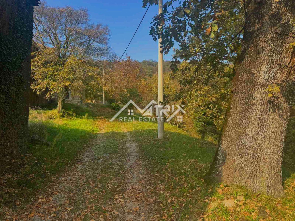 Land For sale - ISTARSKA MOTOVUN