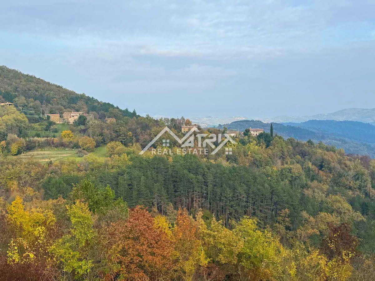 Land For sale - ISTARSKA MOTOVUN