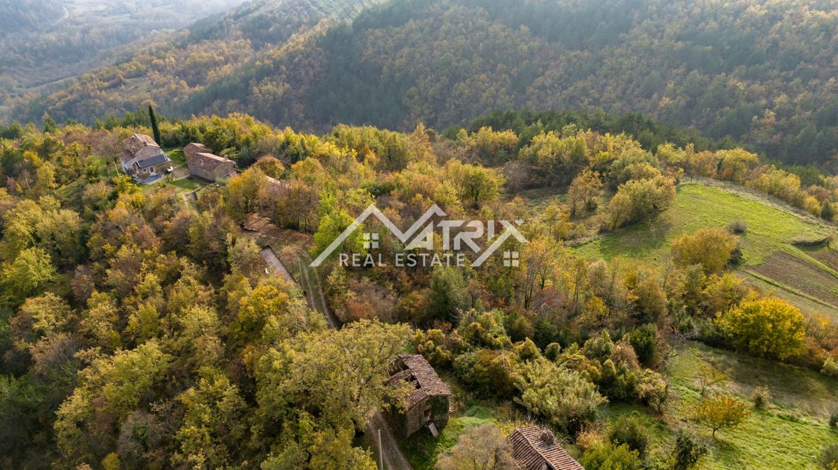 Land For sale - ISTARSKA MOTOVUN