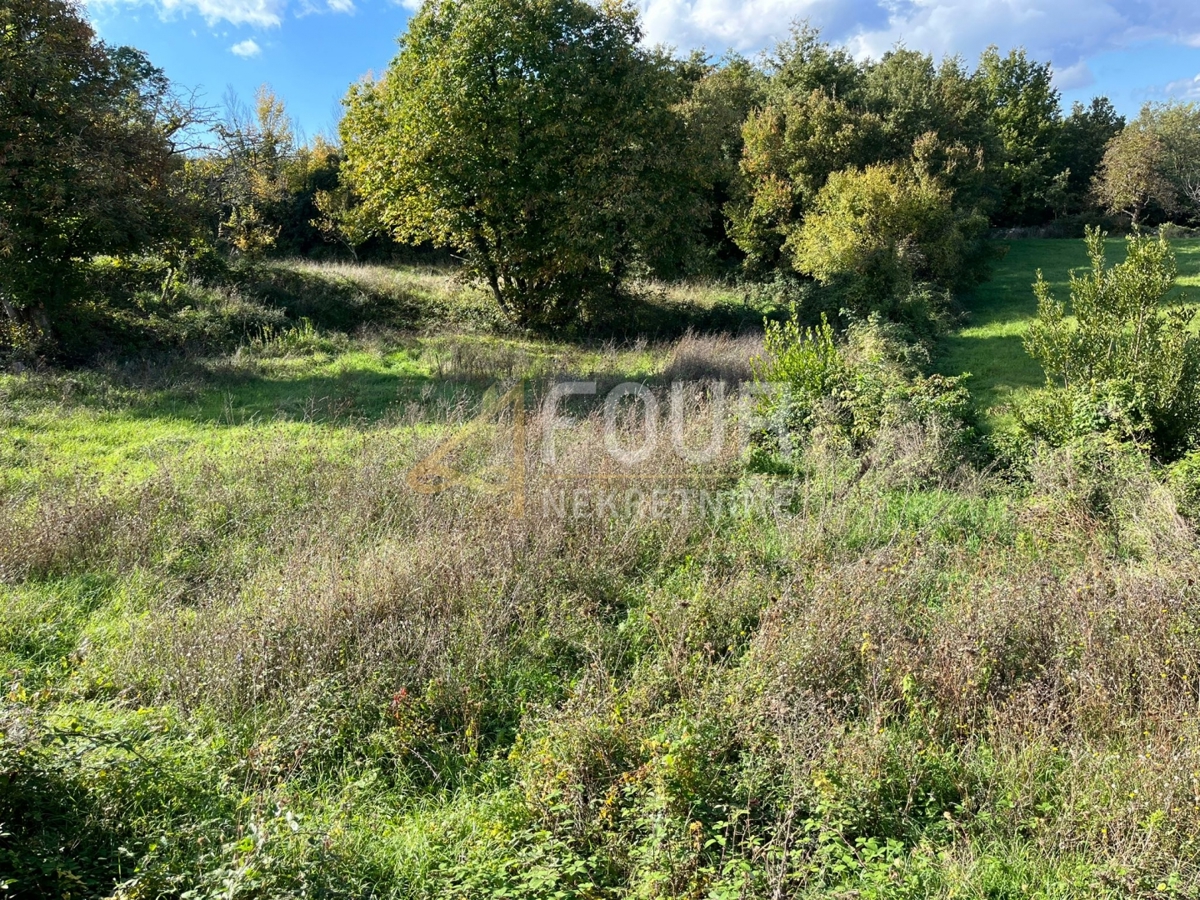 Terreno In vendita - Istarska Karojba - foto 2/4