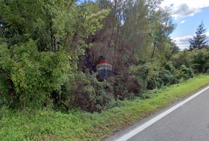 Terreno In vendita - Primorsko-goranska Lokve - foto 2/2