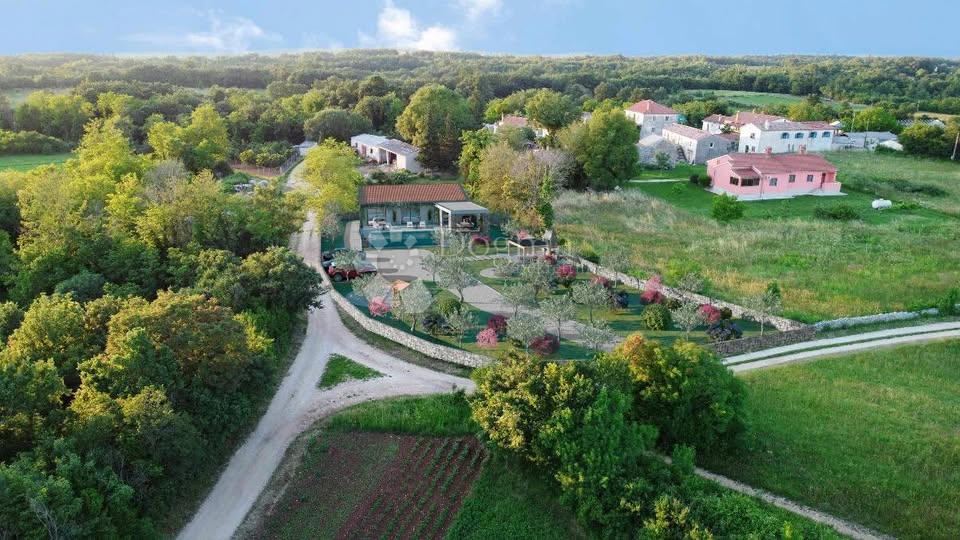 Działka Na sprzedaż ŽMINJ